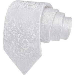 Paisley Silk Blend Tie for Men 3.15 Inch Formal Wedding Business Necktie